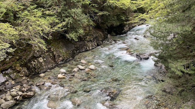 阿寺渓谷　遊歩道　沢