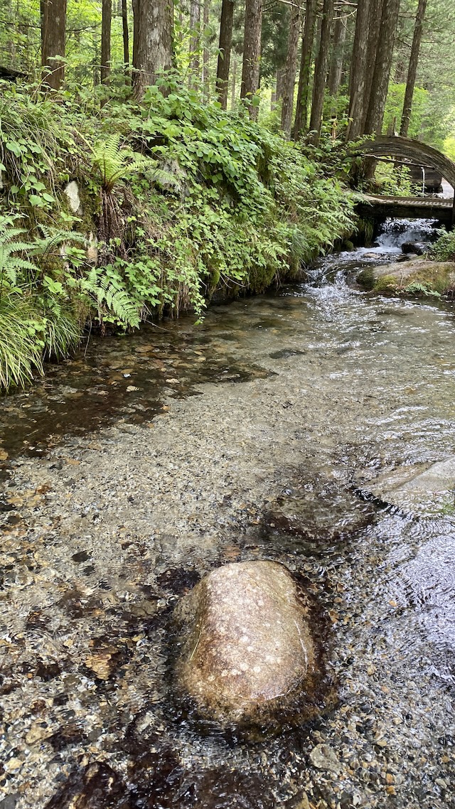 阿寺渓谷　美顔水　小川