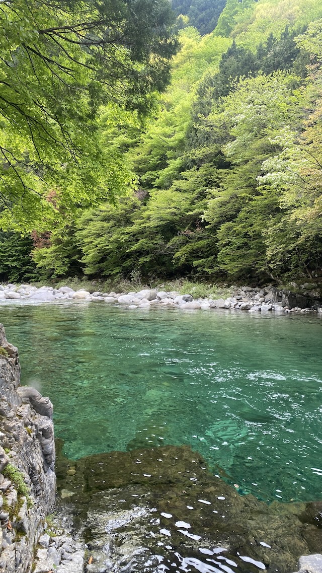 阿寺渓谷（狸ヶ淵）たゆたう川