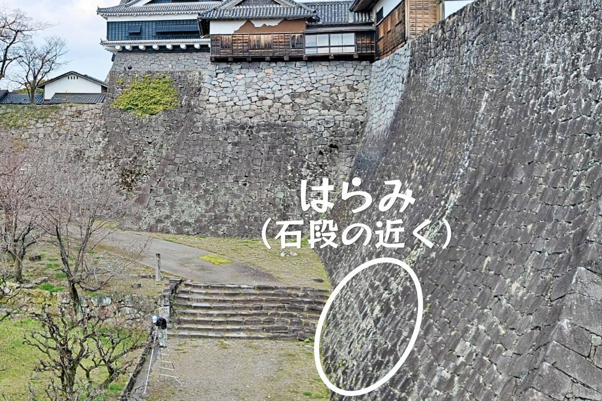 熊本県熊本市・「熊本城」石垣の近くのはらみ canva