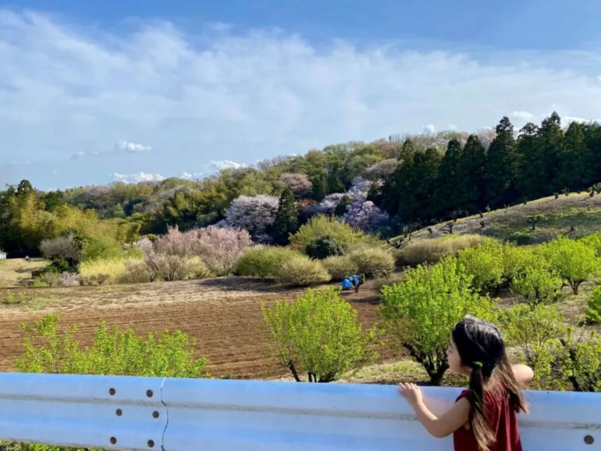 神奈川県横浜市・東京から横浜市青葉区へ移住された安倍さんご家族／横浜移住サイト〜だから横浜で暮らしたい〜（画像提供：横浜市政策経営局シティプロモーション推進室)2