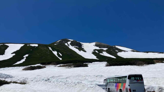 期間限定の天空散歩！乗鞍岳春山バスの魅力