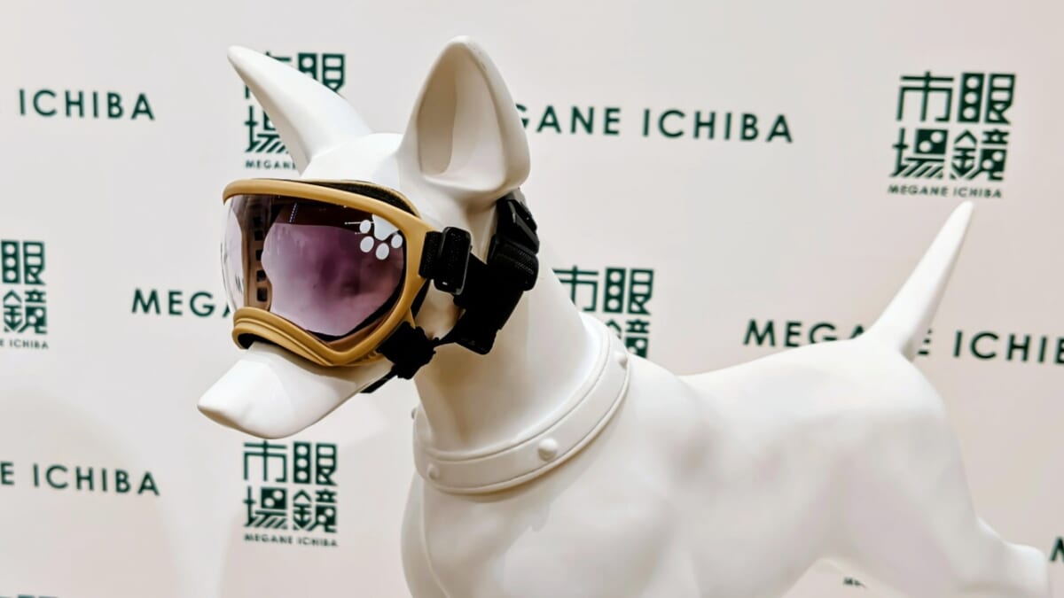 【愛犬も紫外線対策】眼鏡市場初の犬用サングラス「ワングラス」が登場！夏のお散歩や旅行のお供に