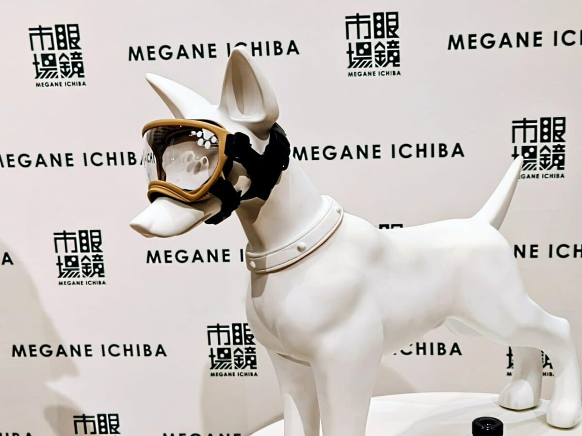 静岡県静岡市・株式会社メガネトップ（眼鏡市場）／東京・2026年6月3日（水）開催「紫外線対策事業戦略発表会」犬専用ゴーグル「WANGLASS（ワングラス）」5