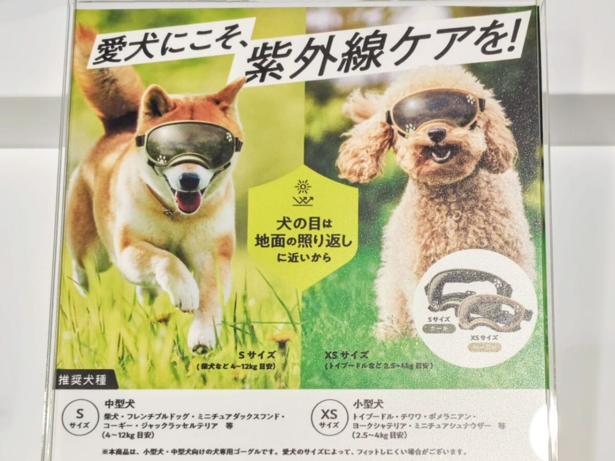静岡県静岡市・株式会社メガネトップ（眼鏡市場）／東京・2026年6月3日（水）開催「紫外線対策事業戦略発表会」犬専用ゴーグル「WANGLASS（ワングラス）」ポップ