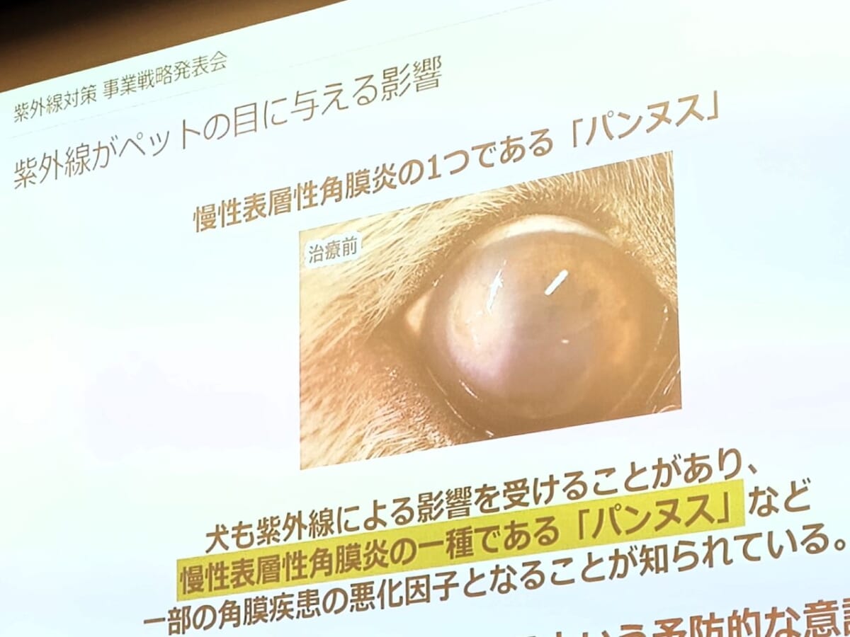 静岡県静岡市・株式会社メガネトップ（眼鏡市場）／東京・2026年6月3日（水）開催「紫外線対策事業戦略発表会」資料より2　