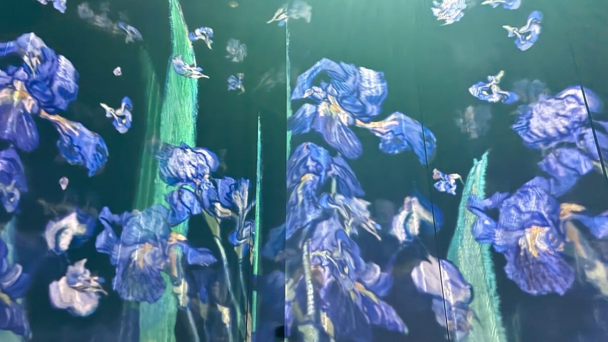 アートのシャワーで、目醒める。