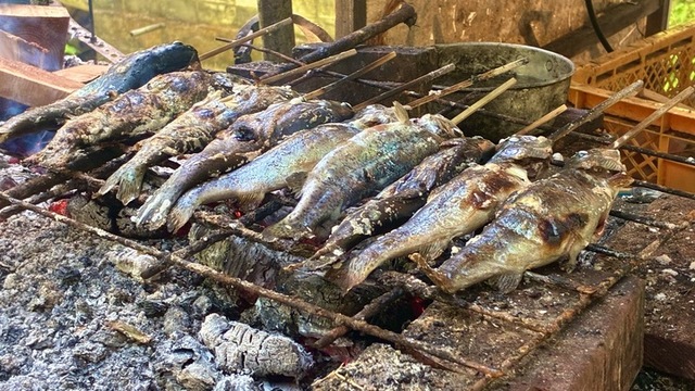 焼かれている魚