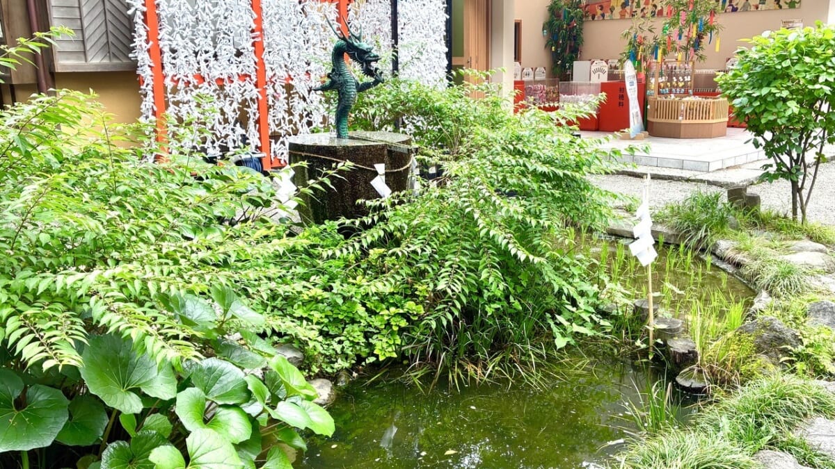 龍神池