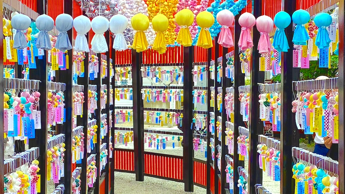 【まるで空に浮かぶ虹！？】約1,300体のてるてる坊主が揺れる！田無神社の七夕絶景を現地ルポ