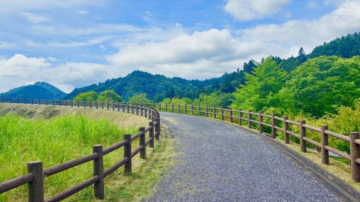 水の郷大つり橋　景色