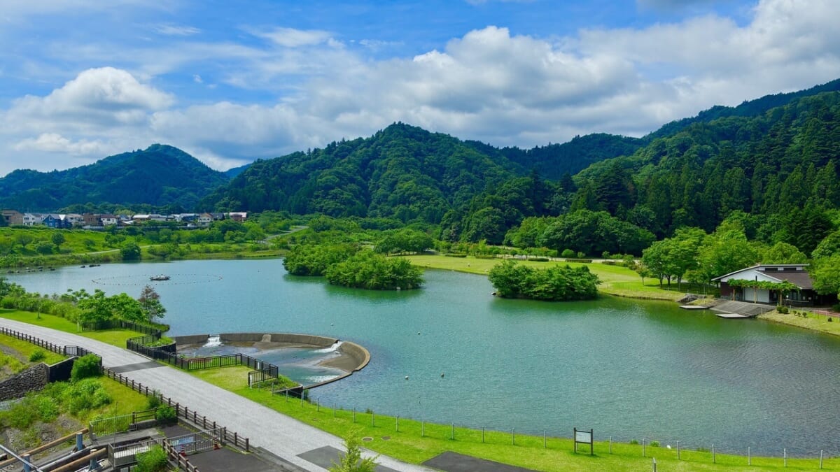 水の郷大つり橋　自然