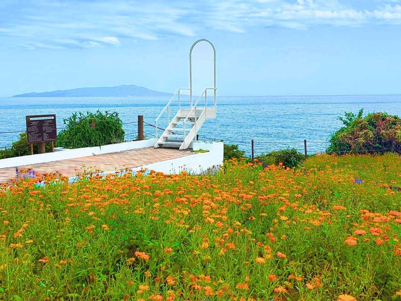 【海上の花園が超穴場！】入園者は駐車場無料！“海と花の絶景フォトスポット”が目白押しの「フラワーガーデン」を現地ルポ｜静岡県
