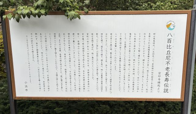 「空印寺」の「八百比丘尼」伝説