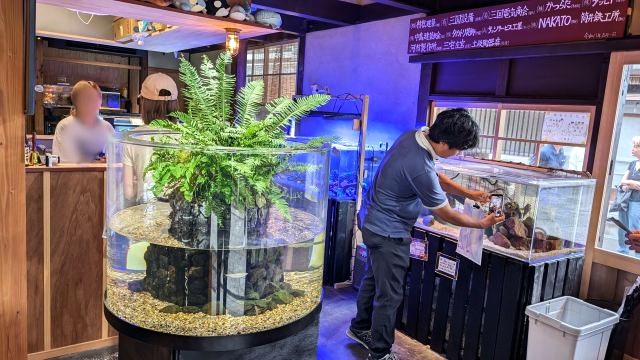 おばま水族館の内装
