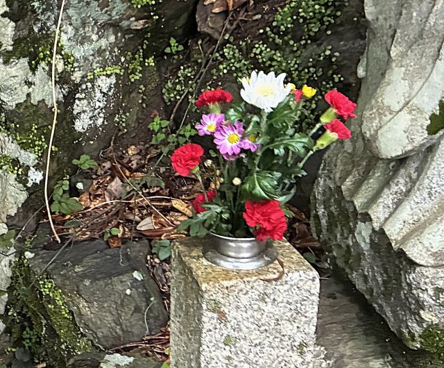 「空印寺」の「八百比丘尼」伝説の洞窟の花