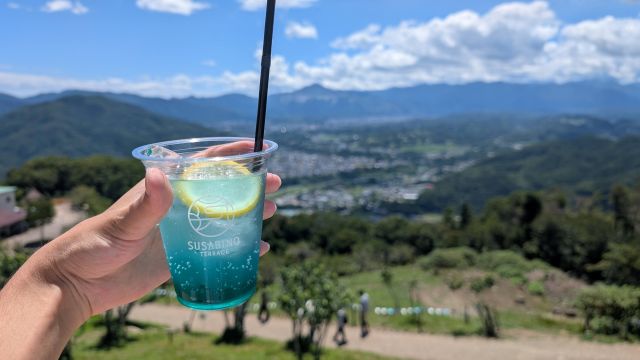 「宝登山ロープウェイ」の「トロエード」