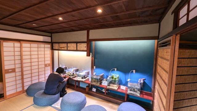おばま水族館の2階展示スペース