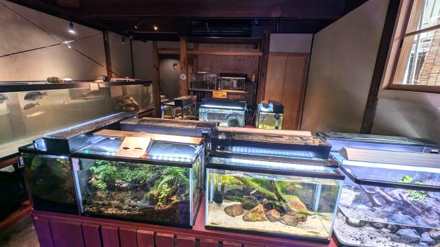 おばま水族館の1階展示スペース