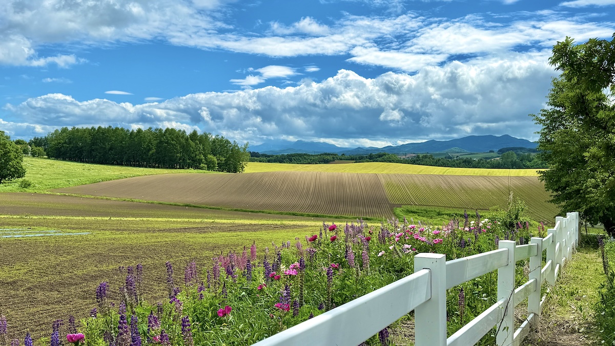 北海道　美瑛　新栄の丘展望公園