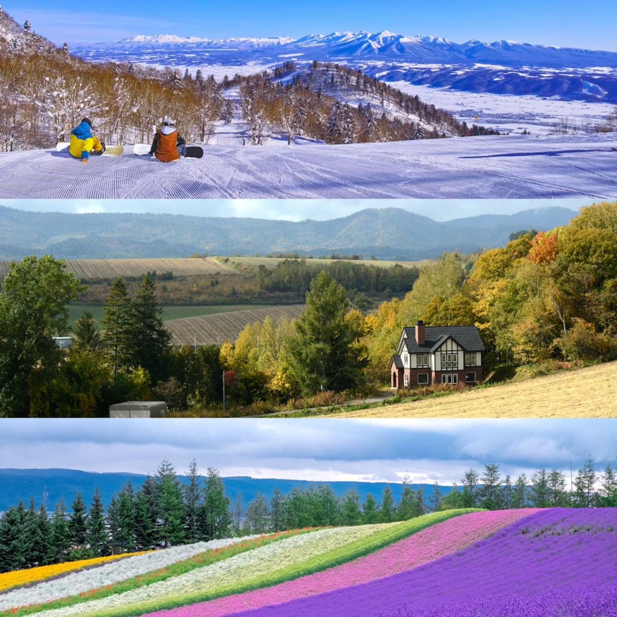 富良野　四季折々