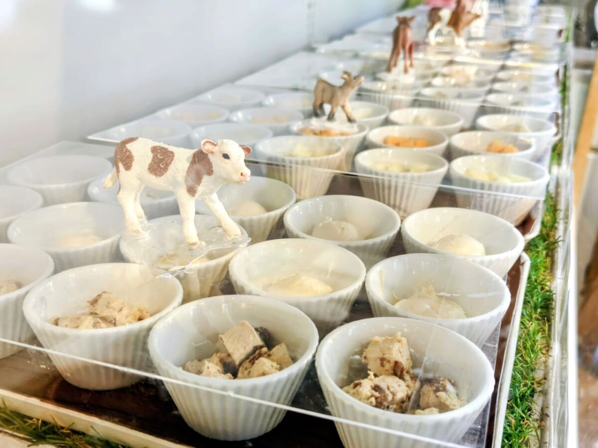 【話題の「パン＆20種チーズ食べ放題」90分行ってみた！】川崎・ラ チッタデッラ「La Petite Fromagerie 〜小さなチーズの店〜」