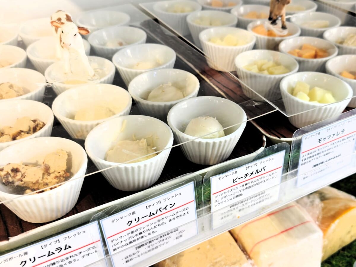 神奈川県川崎市・「La Petite Fromagerie 〜小さなチーズの店〜」パン&20種チーズ食べ放題プラン（ショーケースのチーズ）3