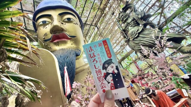 まぼろし資料館(帯付き)　加賀ちゃみい 690893-01-640x360.jpeg