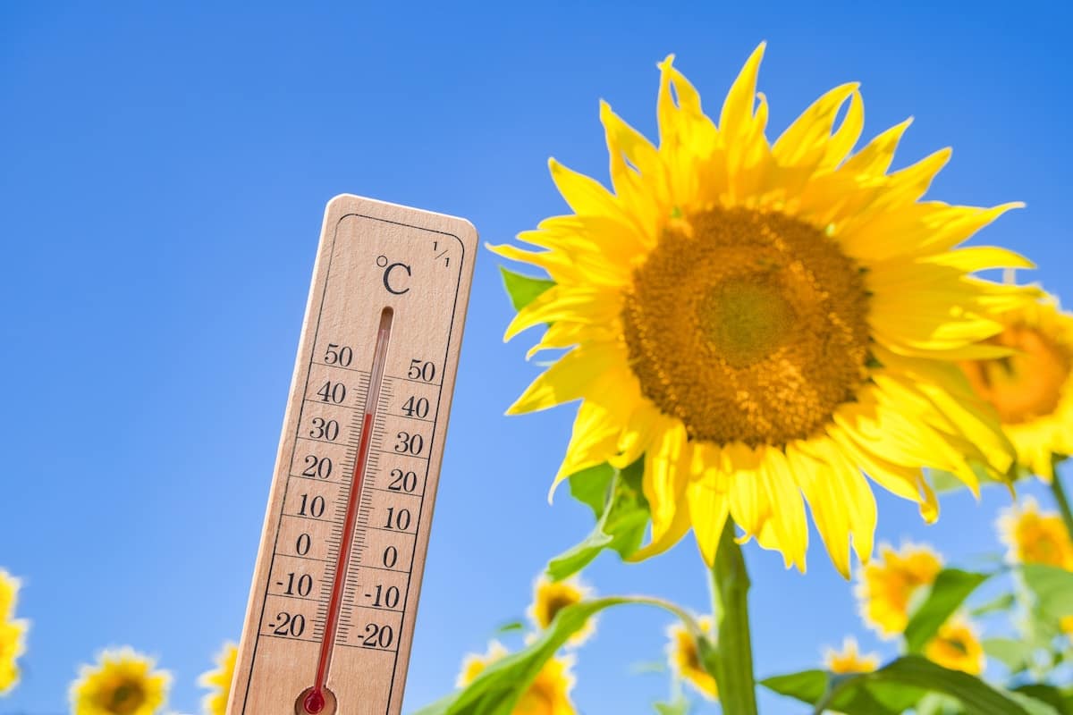 【歴代全国最高気温ランキング】2026年も災害級の40℃以上超えが続出！新たに定義された酷暑日とは？