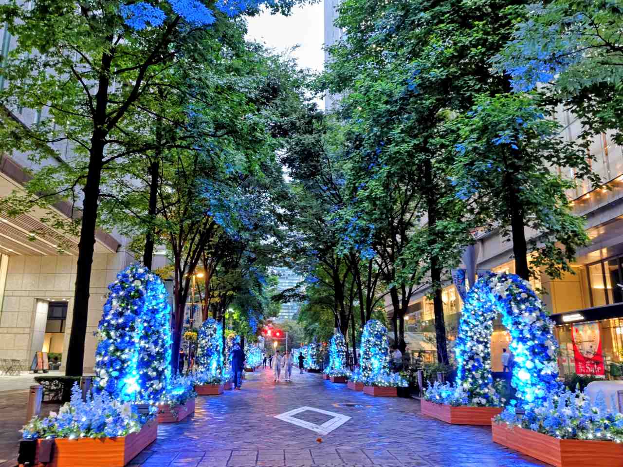 東京都千代田区・2026年7月24日（金）〜2026年8月23日（日）「MARUNOUCHI SUMMER FEST」花の回廊）3