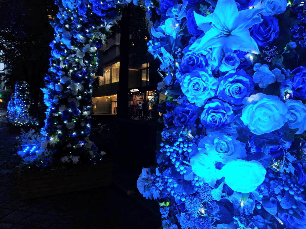 東京都千代田区・2026年7月24日（金）〜2026年8月23日（日）「MARUNOUCHI SUMMER FEST」花の回廊）4