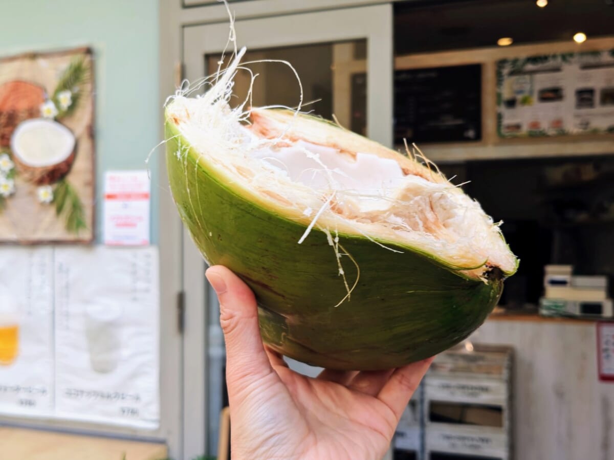 神奈川県川崎市・ココナッツ専門店「クマココ」フィリピン直送のココナッツの外皮