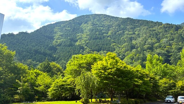駐車場からの景色