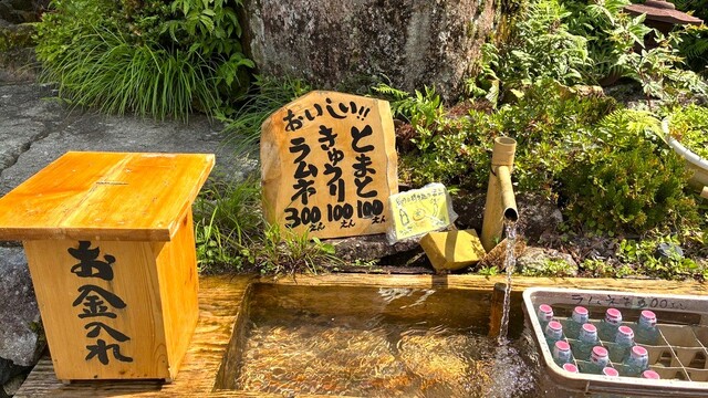 料金表