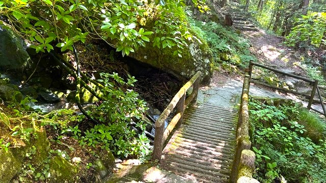 散策路1