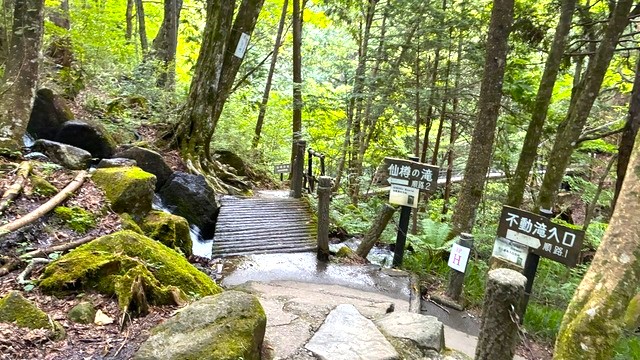 分岐点