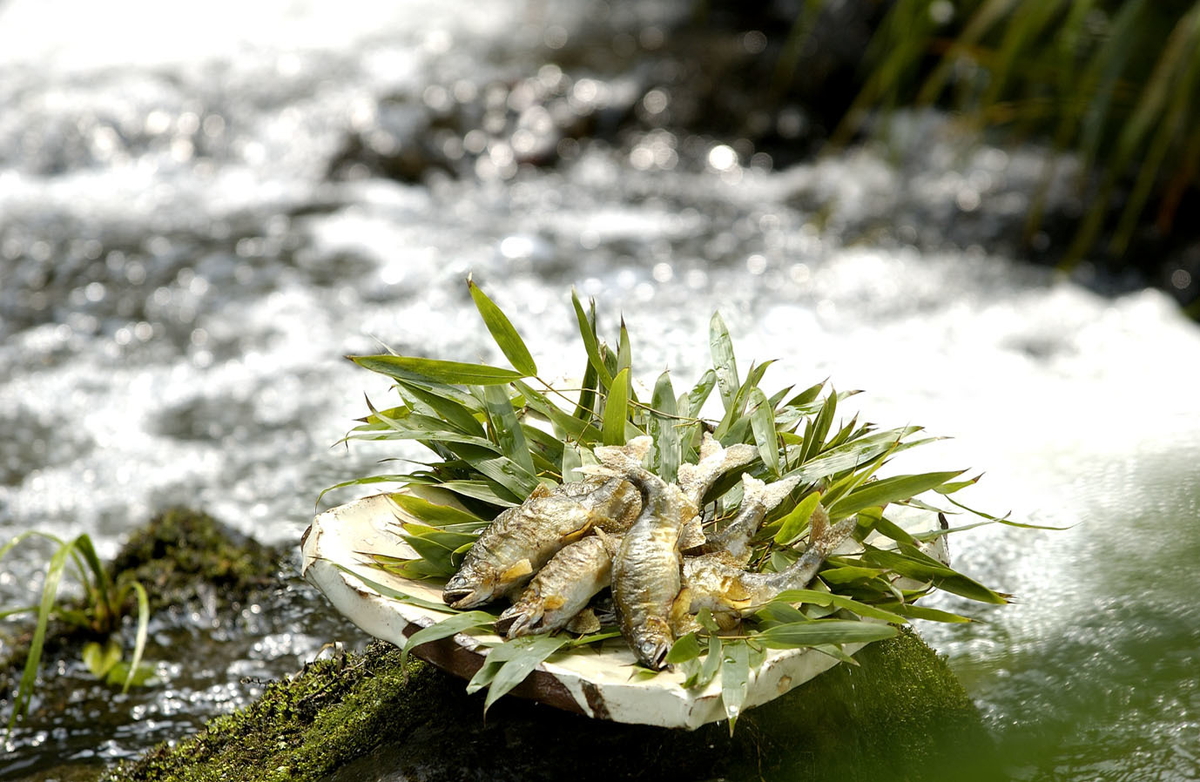 【京都 湯の花温泉・すみや亀峰菴】夏限定のおもてなし「旅館で“涼”を楽しむ夏の休日」8月末まで開催中