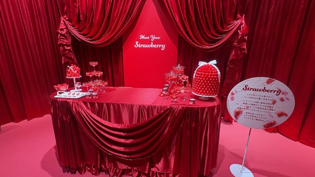 【Strawberry】ストロベリー