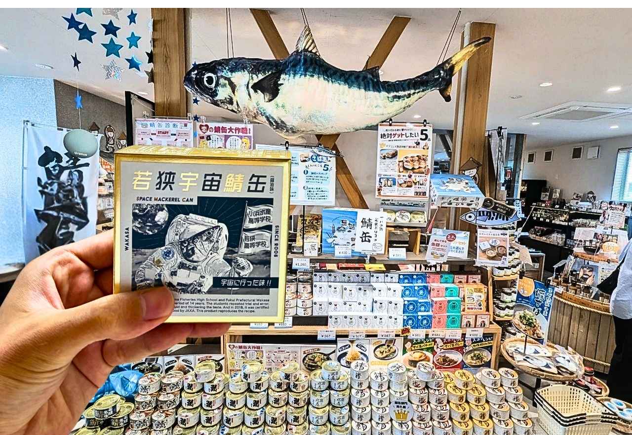 【道の駅で“宇宙へ行った鯖缶”発見！月9ドラマでも話題】鯖だらけの異空間「道の駅若狭おばま」を現地ルポ｜福井県