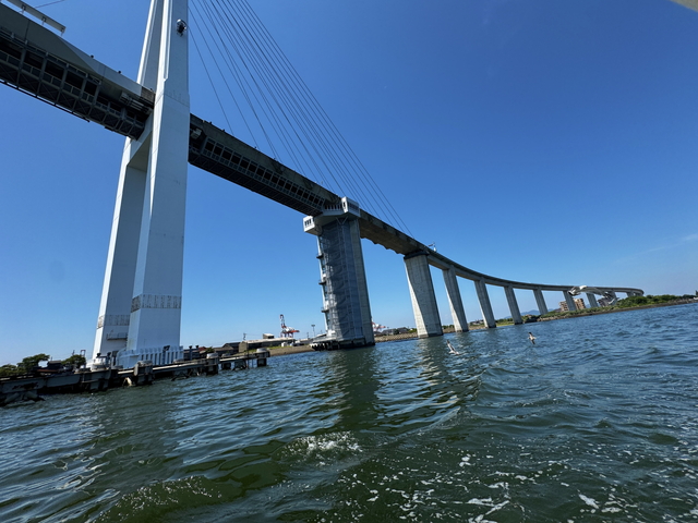 新湊大橋