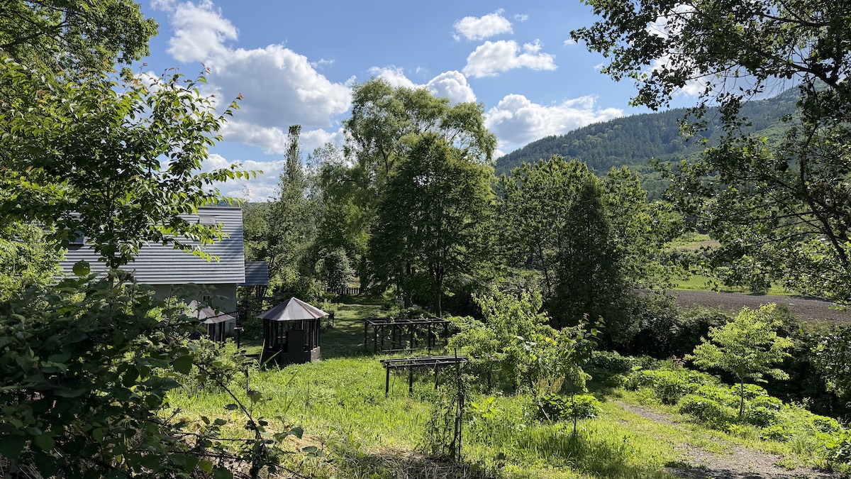 風景画家の庭　里山から美術館を望む