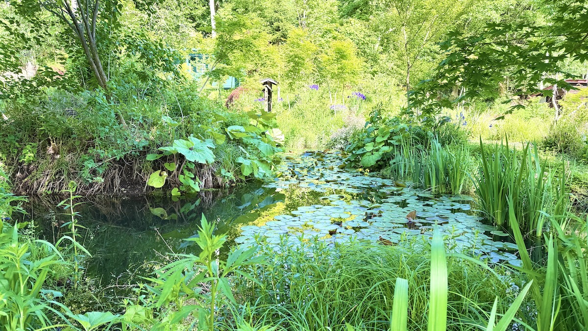 風景画家の庭　モネ　ジヴェルニー re