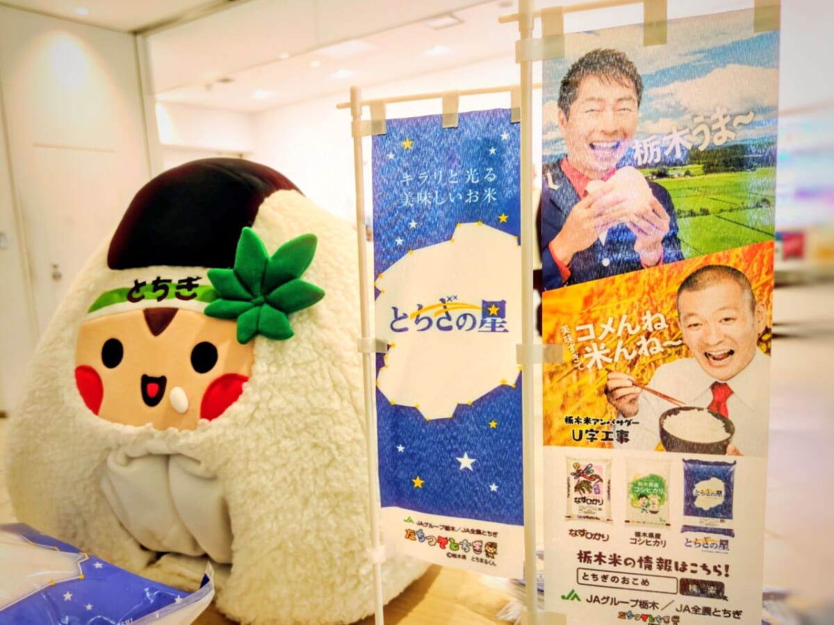 神奈川県横浜市・オーケーみなとみらい店（2026年8月1日（土）「とちぎの星」×オーケーコラボイベント）ポップ