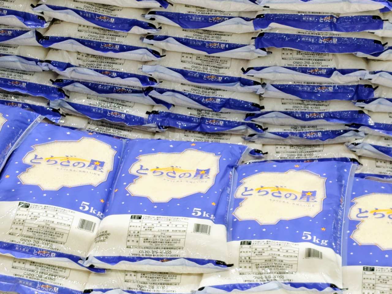 栃木県・栃木県産ブランド米「とちぎの星」3