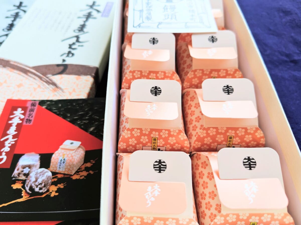 岡山県倉敷市・株式会社大手饅頭伊部屋「大手まんぢゅう」10個入り2