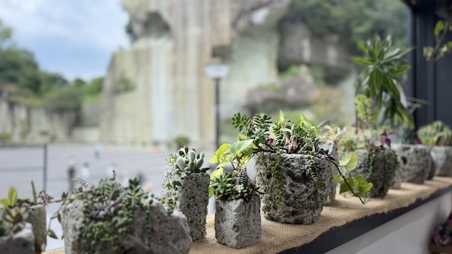 カフェ＆ローカルプロダクトショップ「ロックサイドマーケット」カフェの窓辺に並ぶ植木鉢2
