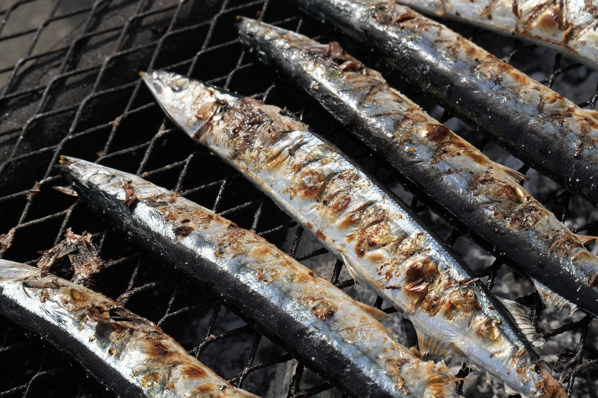 【第34回根室さんま祭り】新鮮なさんまの無料配布も！秋の味覚を満喫｜北海道