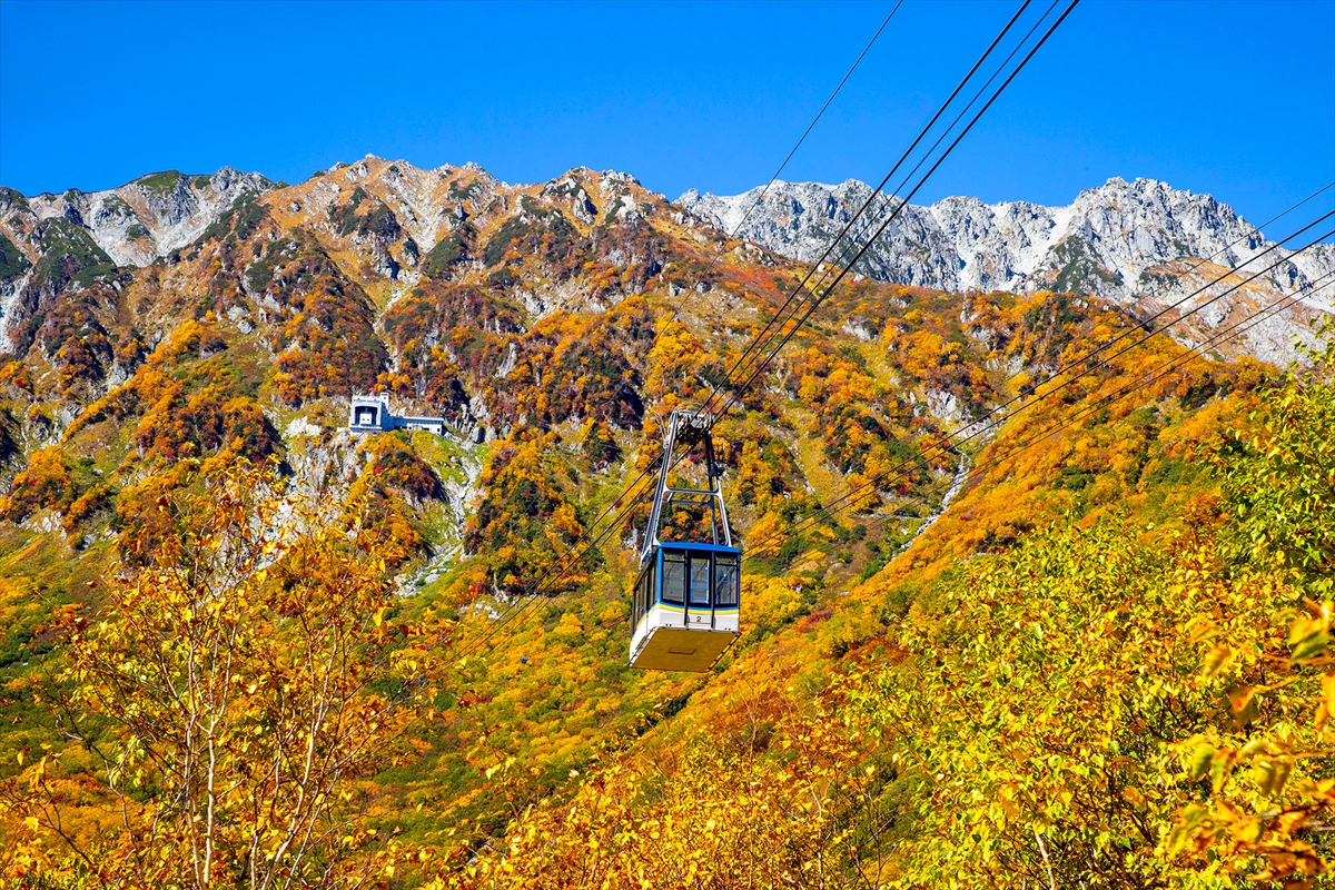 9月から紅葉シーズン！お得な「秋旅早割WEBきっぷ」販売中｜立山黒部アルペンルート