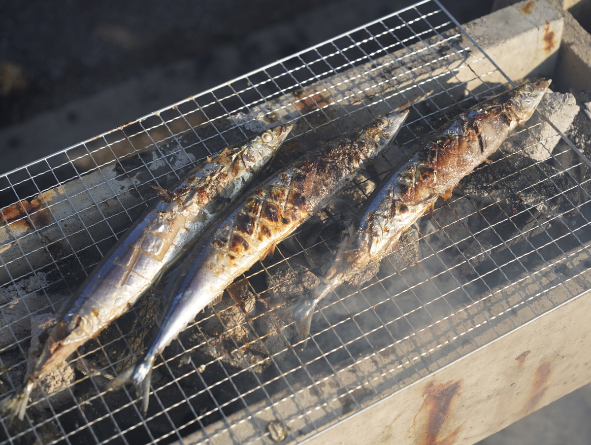 【約2,000匹のサンマが無料！】自分で炭火焼きできる「さんま祭り」開催｜宮城・ゆりあげ港朝市