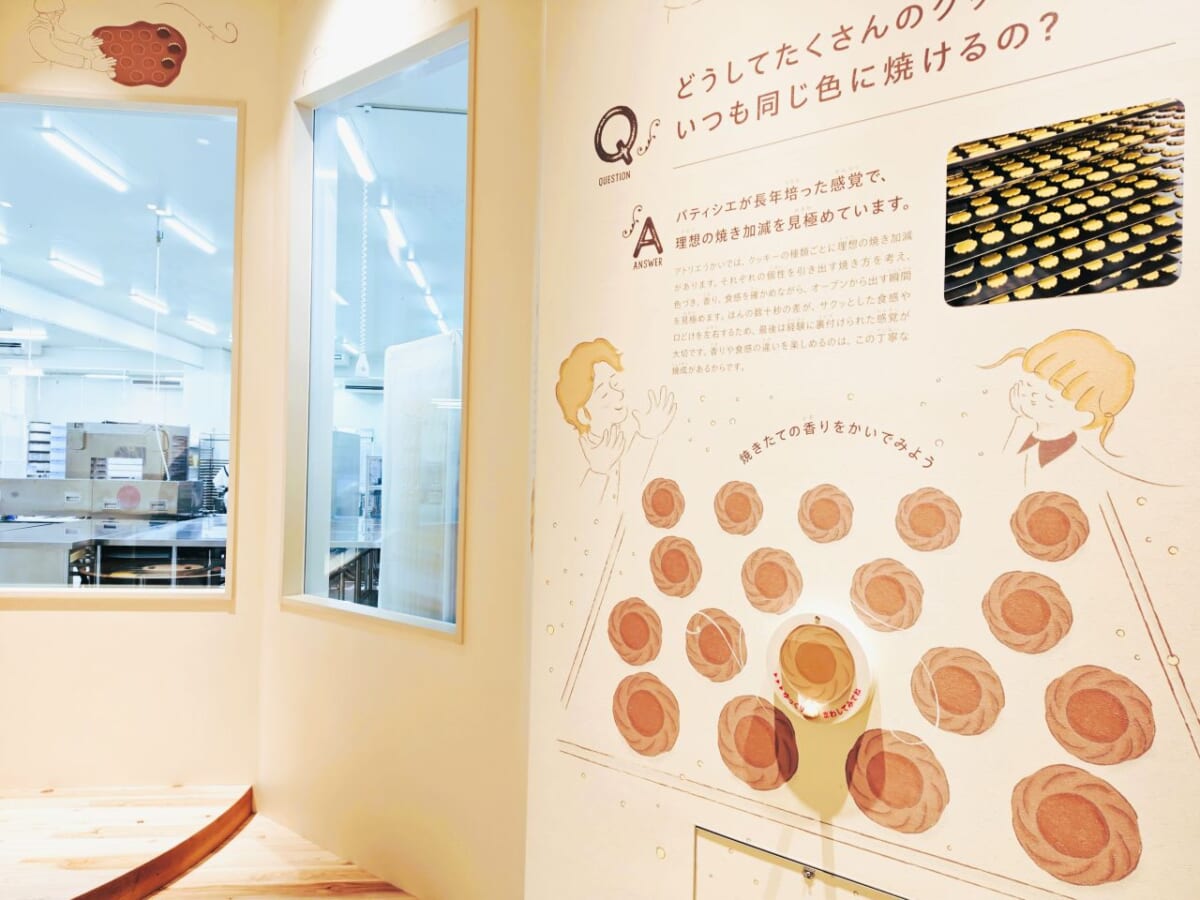 東京都八王子市・「アトリエうかい Cafe & Factory HACHIOJI」ファクトリーツアー（クッキー工房）2